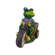 Снимка на Ваза градинска жабок