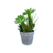 Снимка на Кашпа малка сива с 3 палми