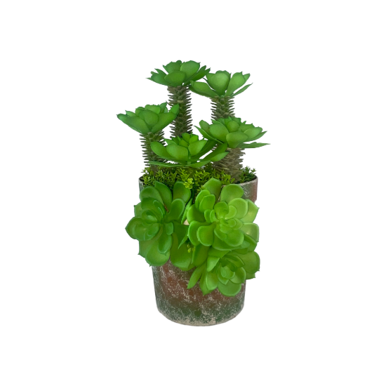 Снимка на Кашпа малка кафява с 3 палми