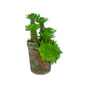 Снимка на Кашпа малка кафява с 3 палми