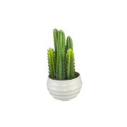 Снимка на Кашпа квадрат 3 кактуса