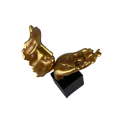 Снимка на Лице с ръка въздушна целувка