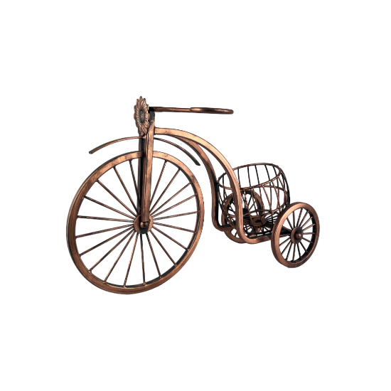 Снимка на Бутилиера триколака голямо колело мед