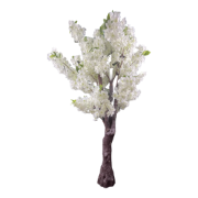 Снимка на Дърво голямо китайска череша бяла
