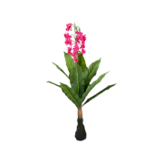 Снимка на Цвете лилаво 