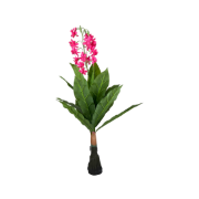 Снимка на Цвете лилаво 