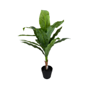 Снимка на Цвете цикламено