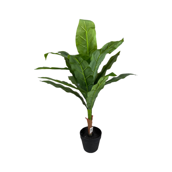 Снимка на Цвете цикламено