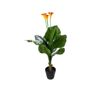 Снимка на Цвете оранжев цвят 