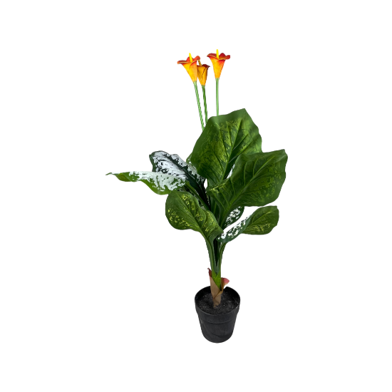 Снимка на Цвете оранжев цвят 