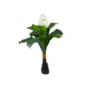 Снимка на Цвете с лилав цвят 