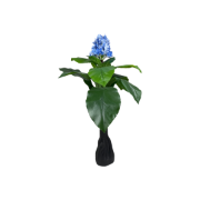 Снимка на Цвете с лилав цвят 