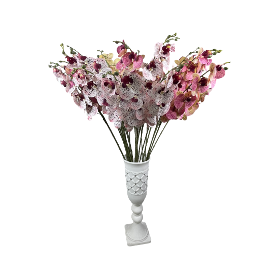 Снимка на Цвете единично Малка орхидея