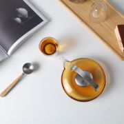 Снимка на Чайник с цедка VIVA Infusion Leaf 550ml