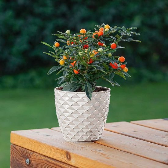 Снимка на Кашпа 14x9.1x12.5 см 1.4 л бяла Kapadokya SERINOVA