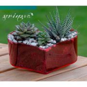 Снимка на Кашпа сърце 21x15.8x8.6 см 1.7 л SERINOVA