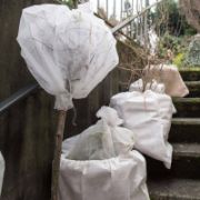 Снимка на Покривало против слана Winter-sping 1.6x5 м бяло BRADAS