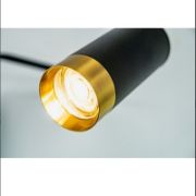 Снимка на Аплик Черен скорпион DREAM LIGHTS