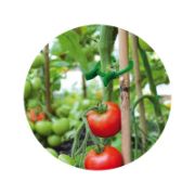 Снимка на Скоби за растения 45 бр. 3 размера BRADAS