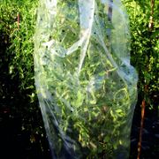 Снимка на Предпазно покривало за домати тип ръкав 15 м HERLY