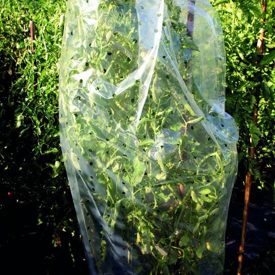 Снимка на Предпазно покривало за домати тип ръкав 15 м HERLY