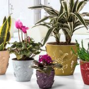 Снимка на Кашпа 3D Пеперуди Ф22x20 cм RG