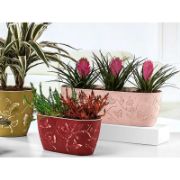 Снимка на Сандъче 3D Пеперуди 47 см RG