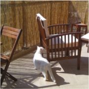 Снимка на Покривало за огради тръстика 150x300 см