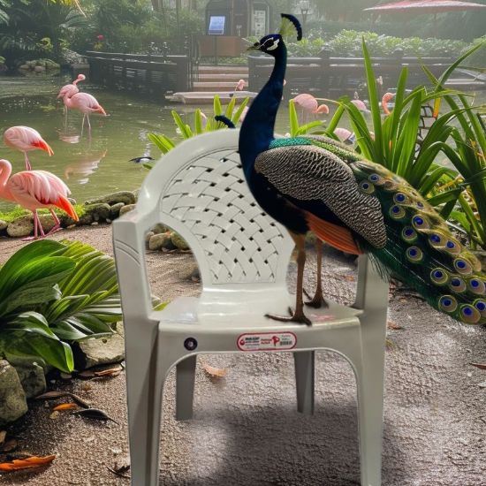 Снимка на Градински стол PVC сив Palmiye MEVSIM