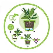 Снимка на Саксия с дренаж Ø16 см лилава Фюжън