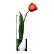 Снимка на Ваза за цветя тип цилиндър 26 см Botanica PASABAHCE