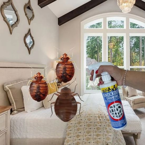 Снимка на Препарат против дървеници 500 мл Нокаут Универсал KWIZDA