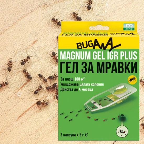 Снимка на Гел против мравки 15 гр MAGNUM