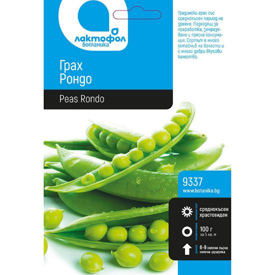 Снимка на Семена грах Рондо ЛАКТОФОЛ БОТАНИКА